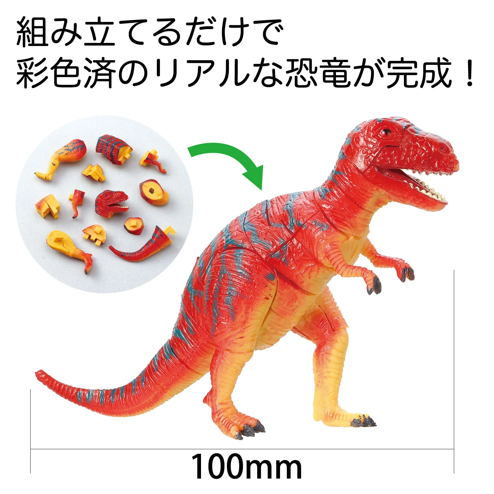 Dinosaur 3D puzzle BOX set (20 pieces) - Image 3