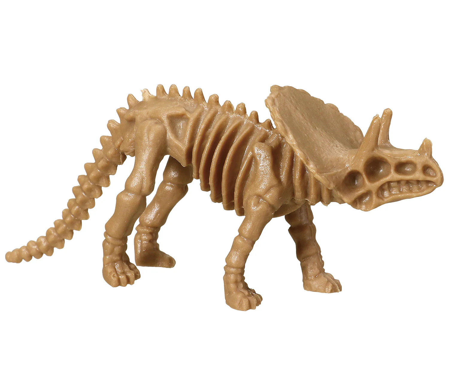 Contains 12 dinosaur skeleton figures