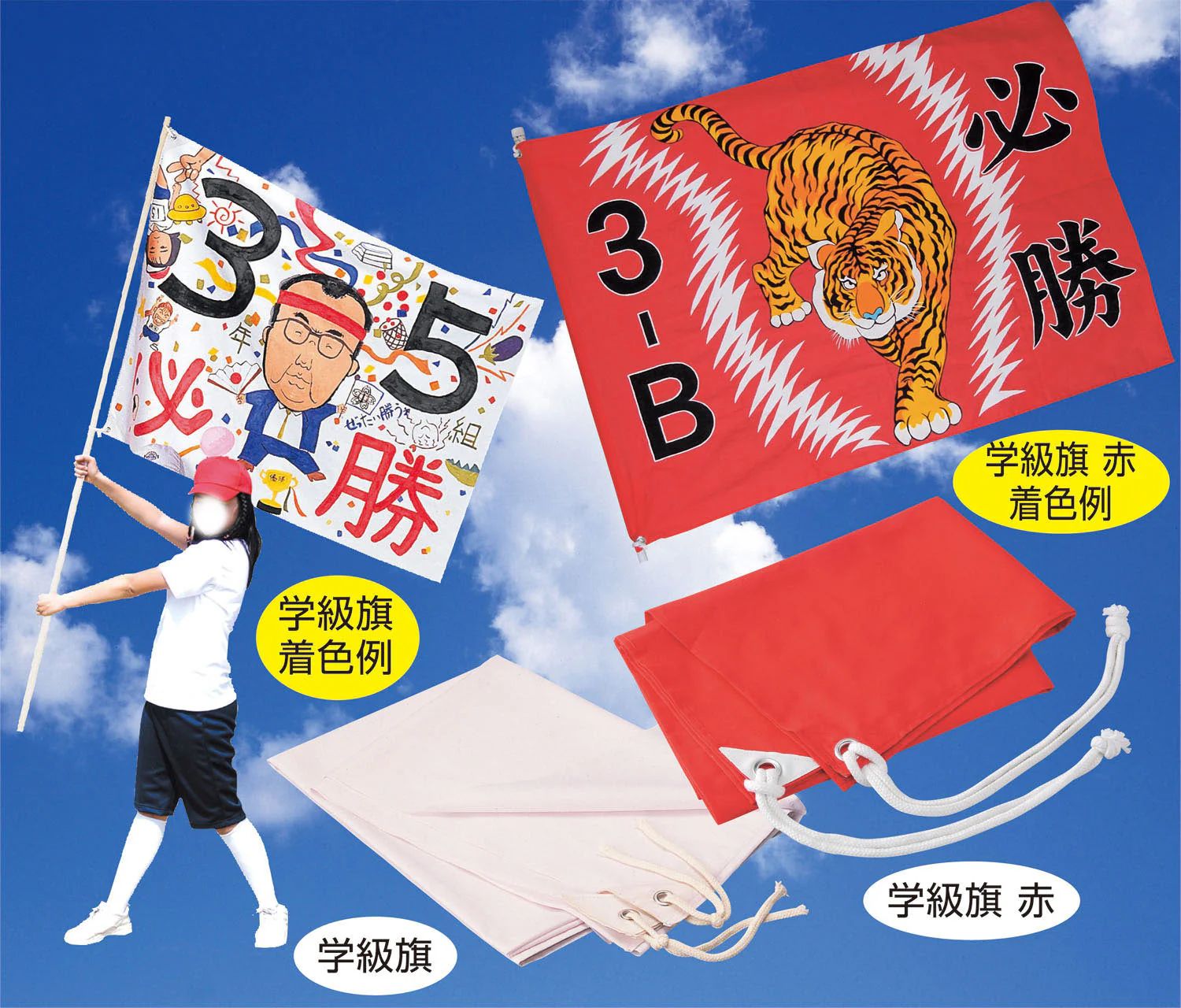 Pole for class flag - Image 2