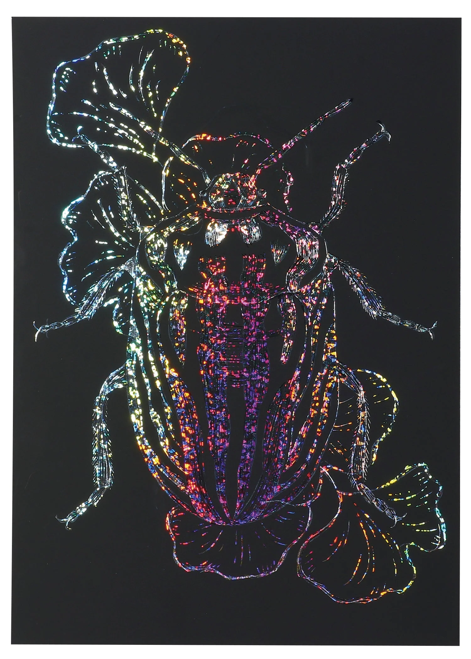 Hologram scratch board 100×150mm