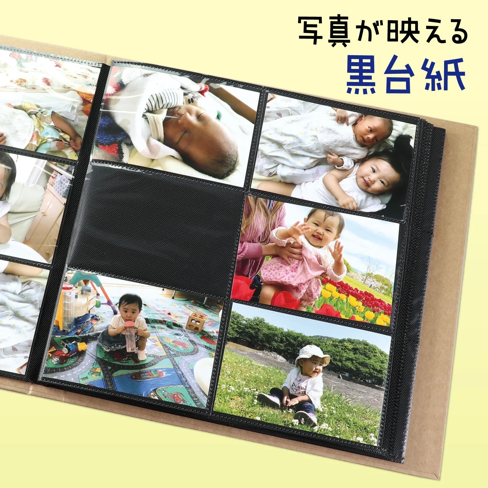Paint album (L size) - Image 6