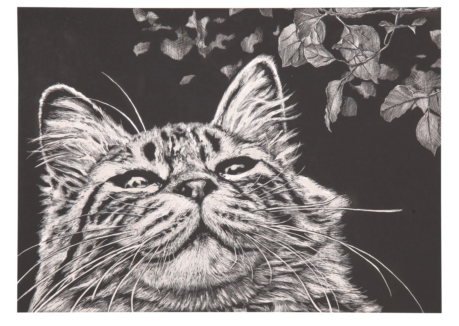 Scratch board frameless paper