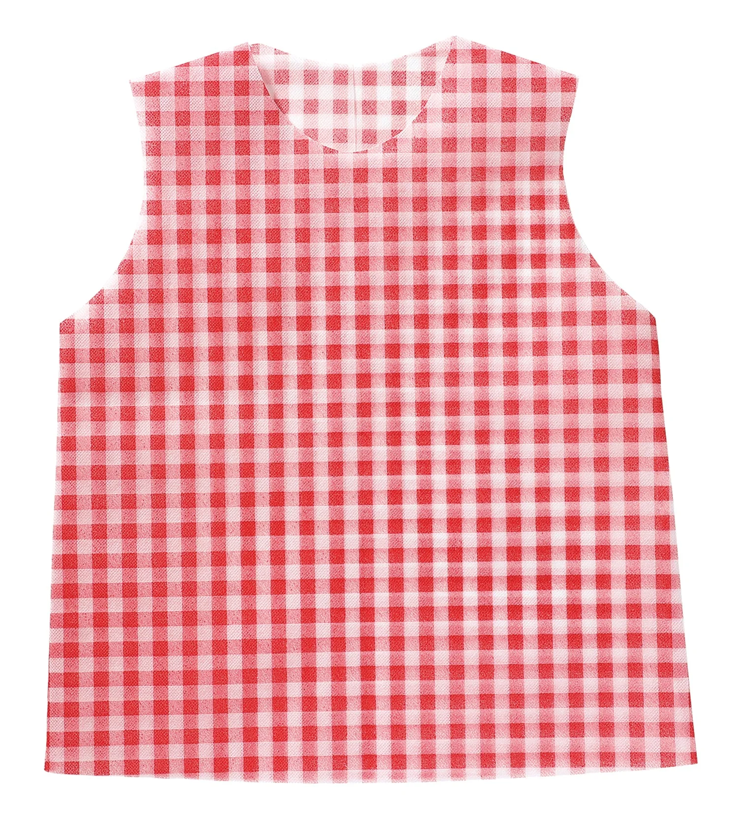 Costume base Shirt J Gingam check red