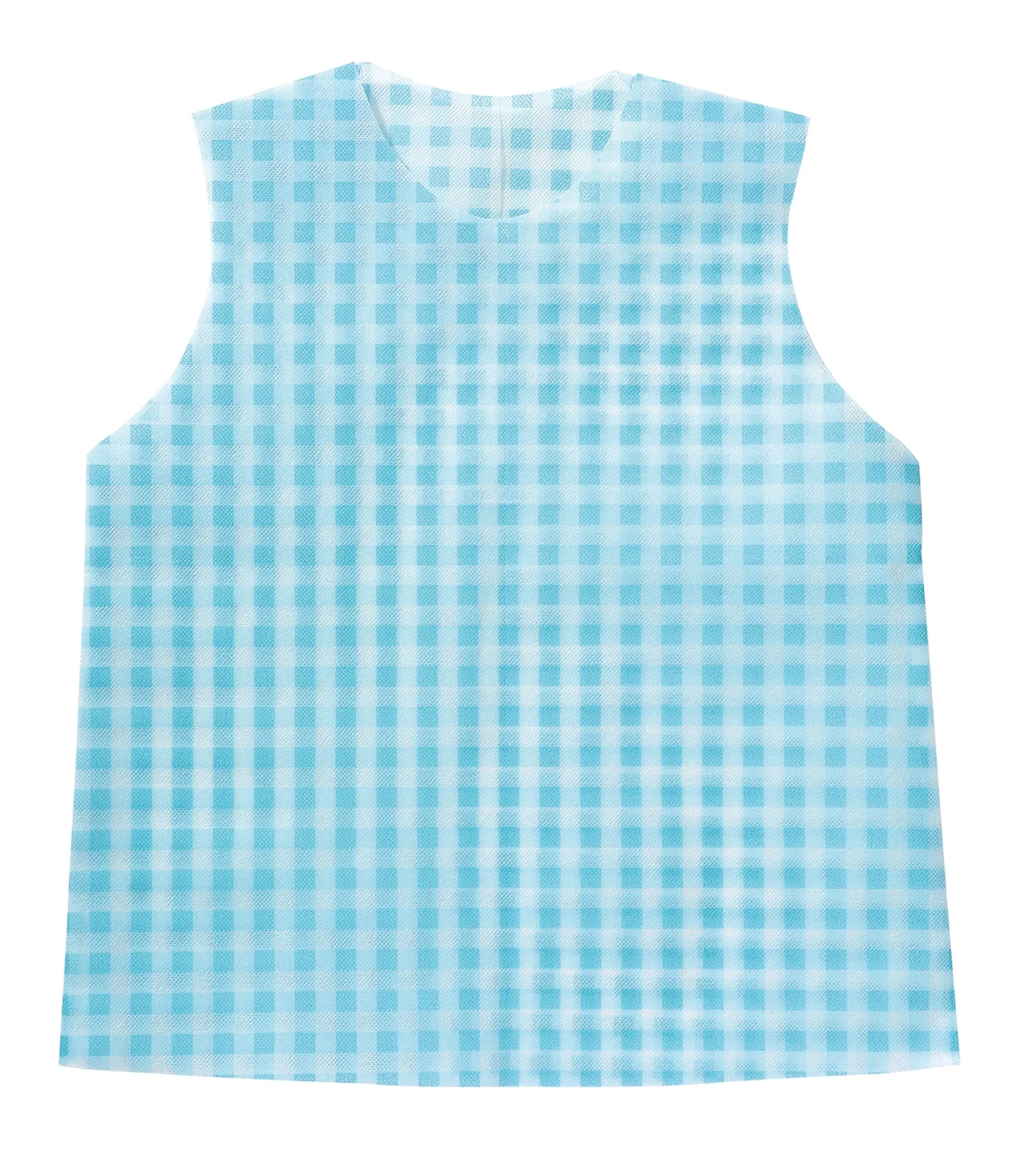 Costume base Shirt C Gingam check light blue