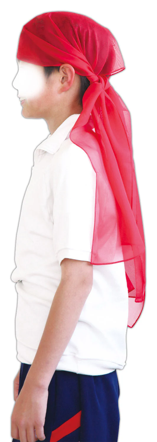 Red Waist Cloth - Image 5