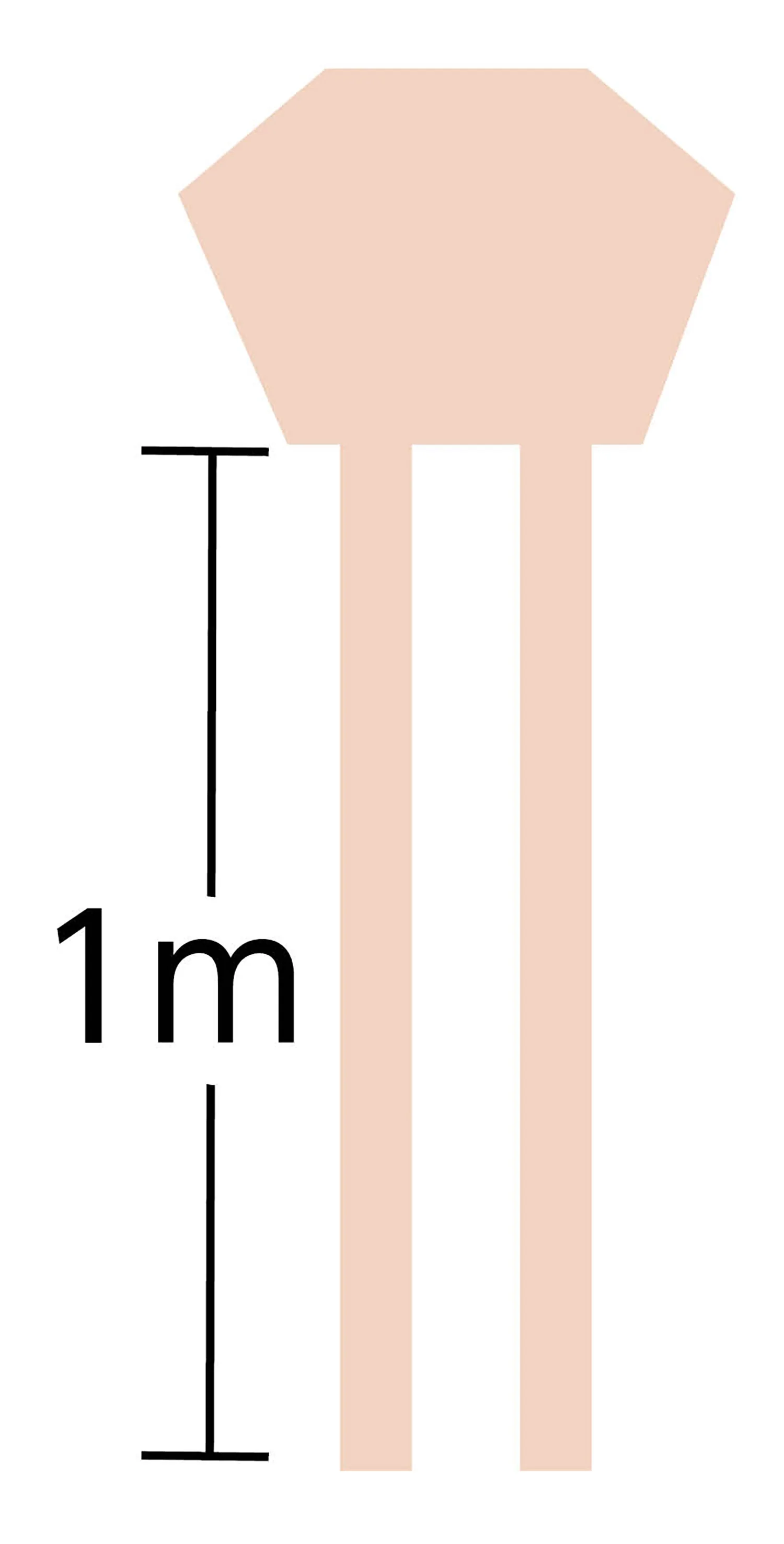 AT squishy kite big - Image 2