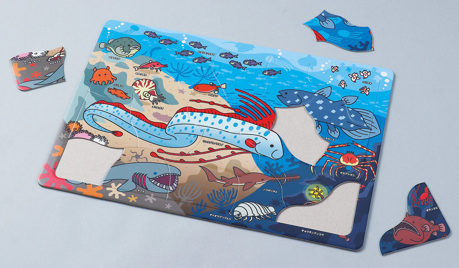 Mysterious deep sea creatures puzzle