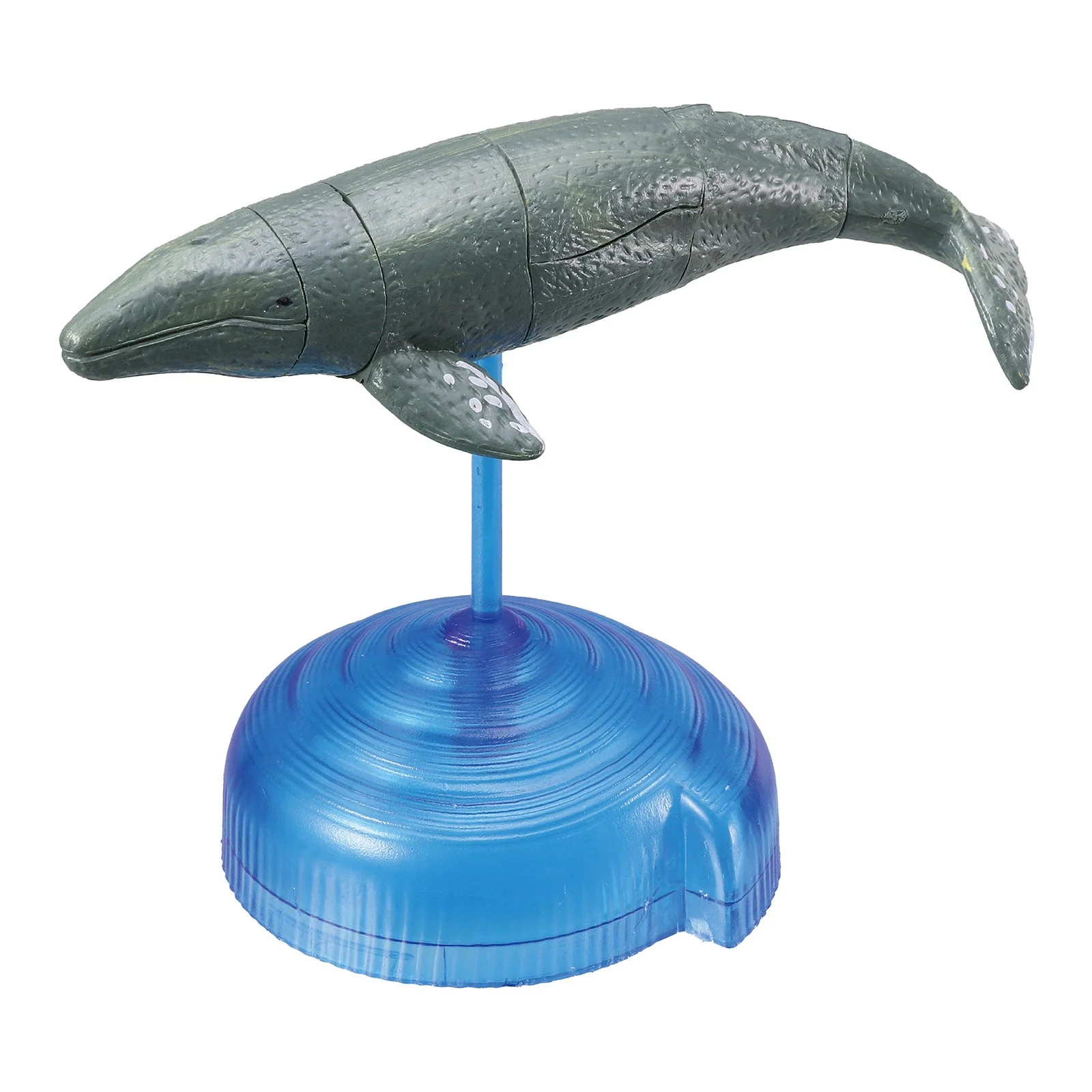 Pulse DE Figure Marine Fixtures Set of 24 - Image 4