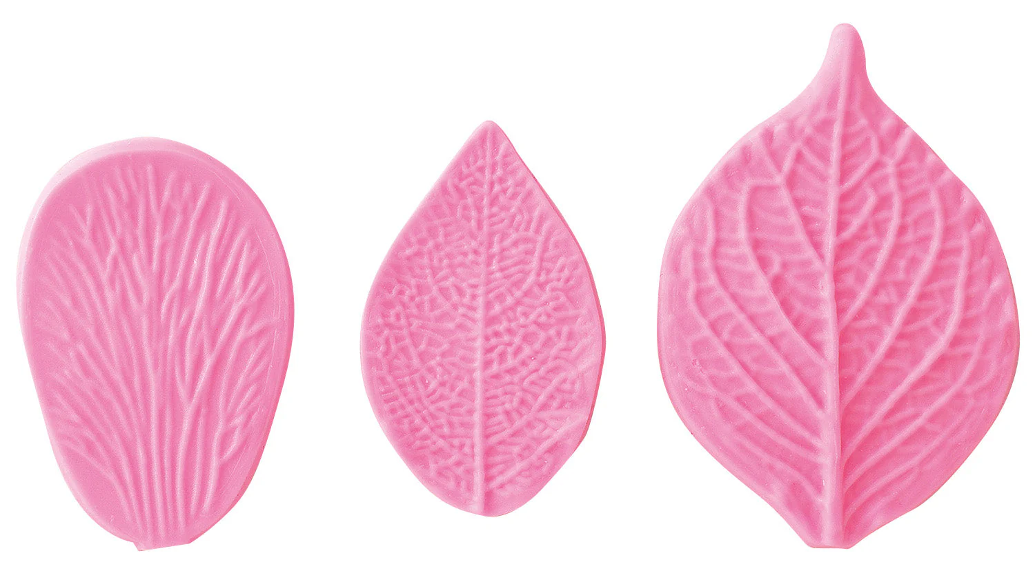 Set of 5 leaf vein press types