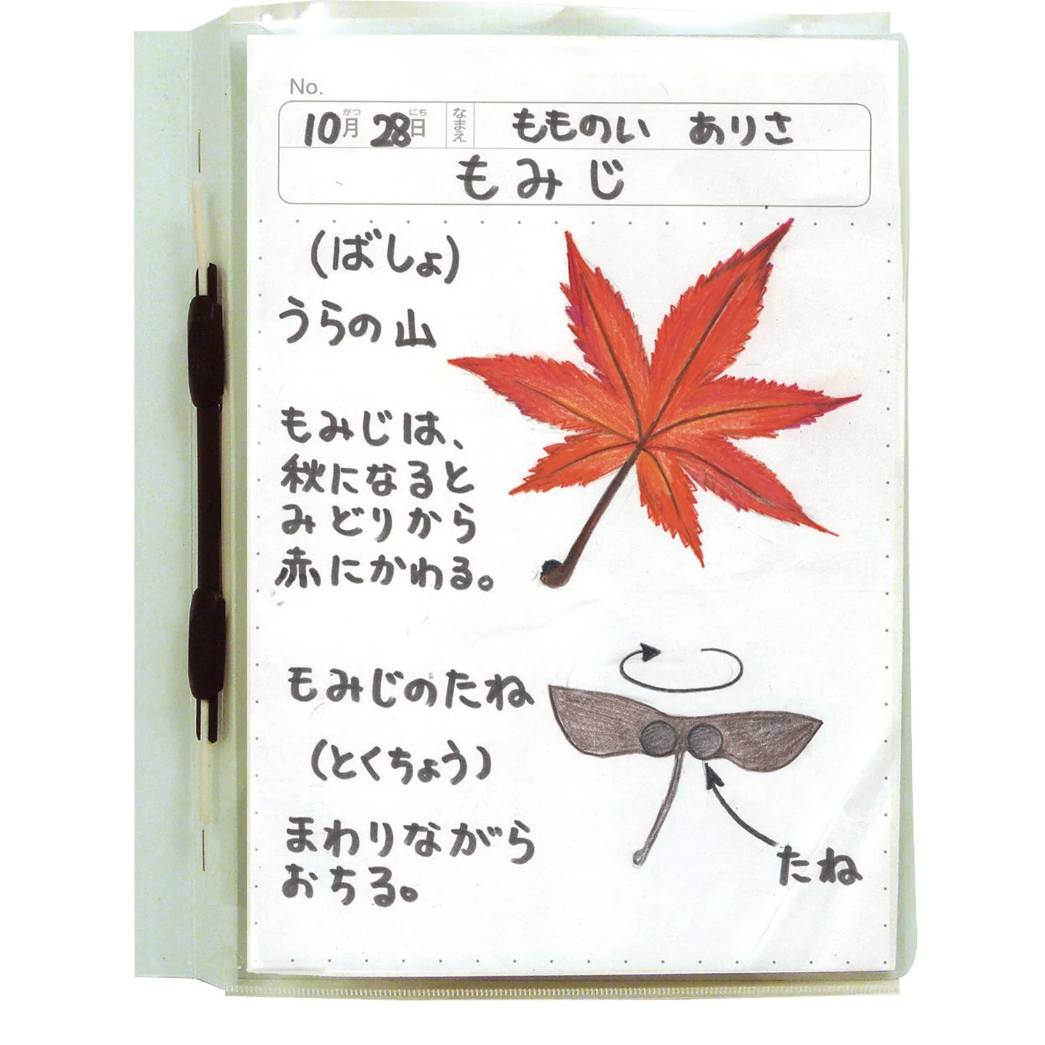 Transparent bulletin board holder A4 - Image 5