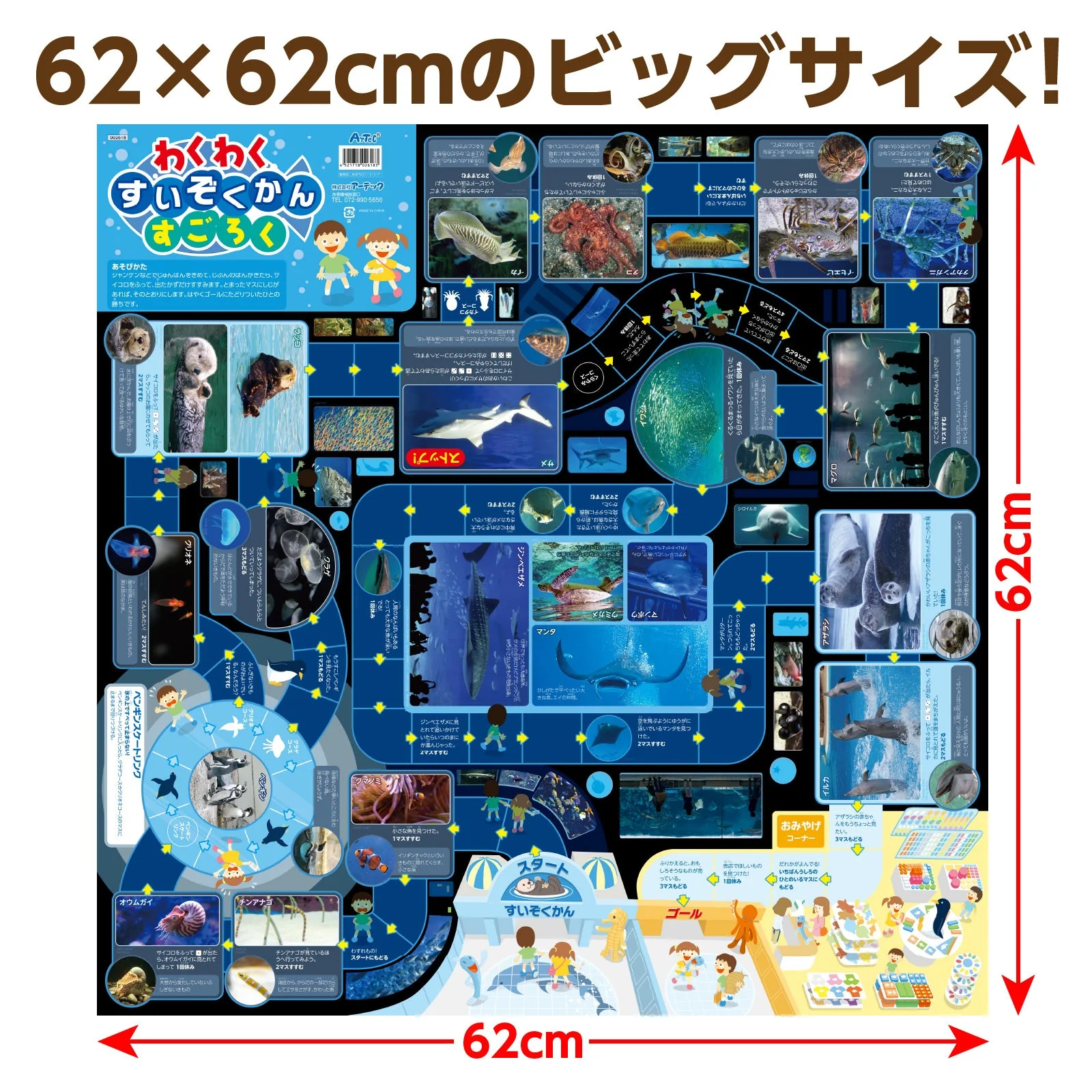 Exciting Swimming Zoo Kansugoroku - Image 5