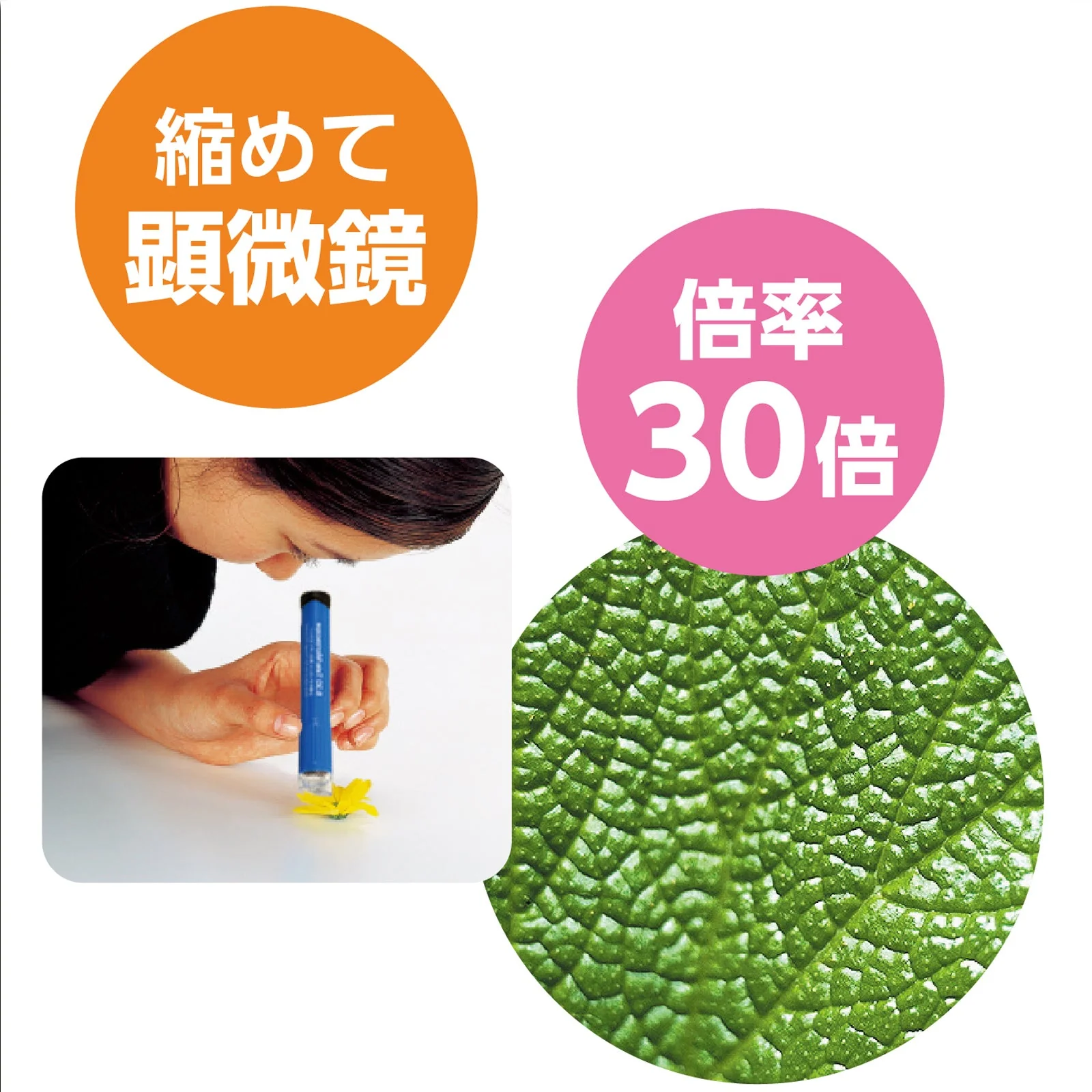 8･30 scope (new blister specification) - Image 3