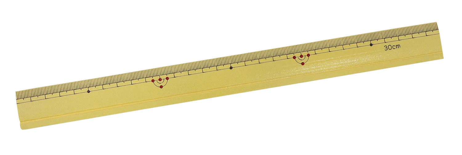 Bamboo scale (single scale)