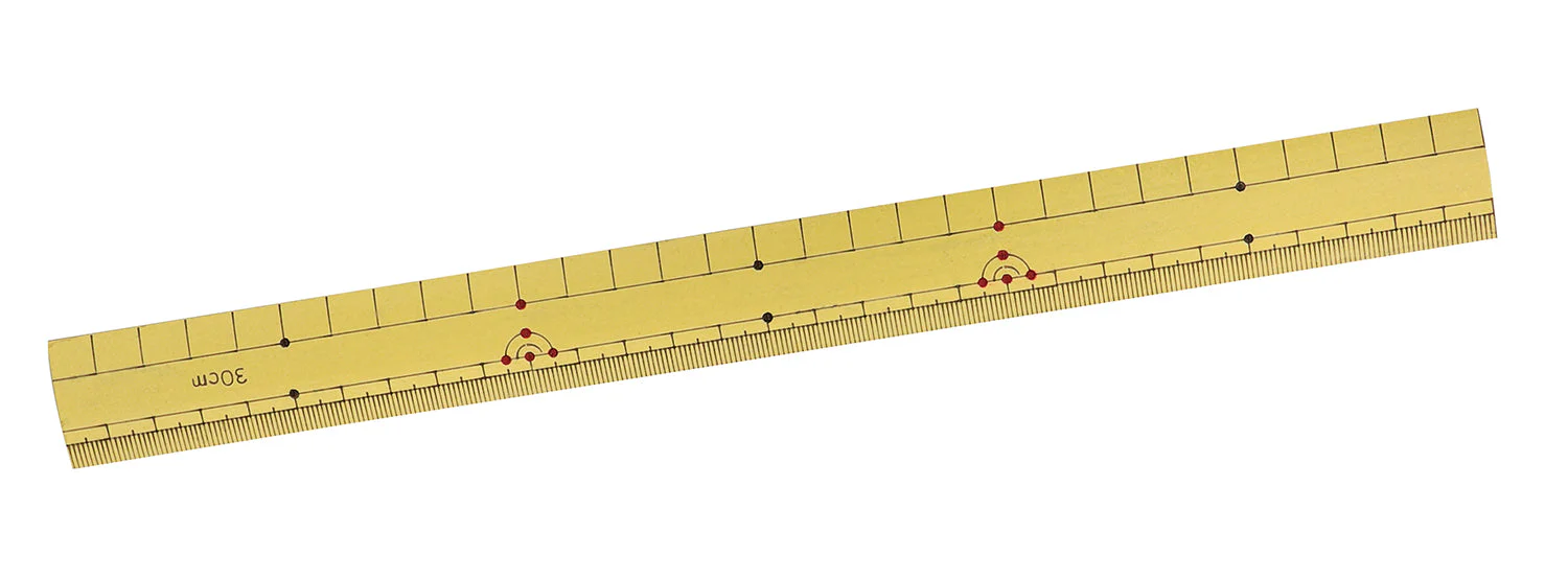 Bamboo scale (both scales)