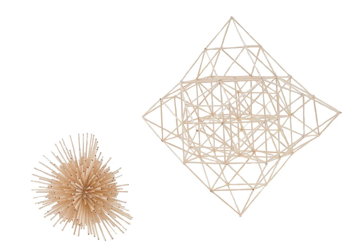1000 toothpicks
