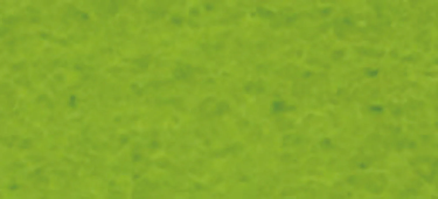 Seal felt A4 yellow green - Image 2