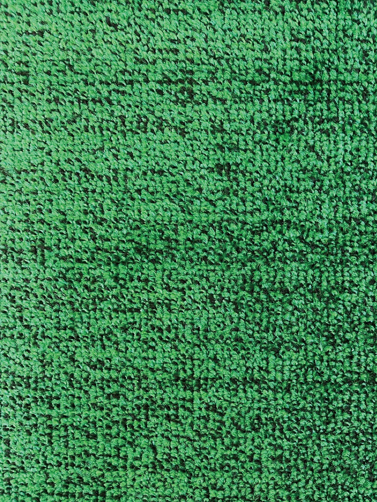 Dust/water absorption mat green 60x80cm