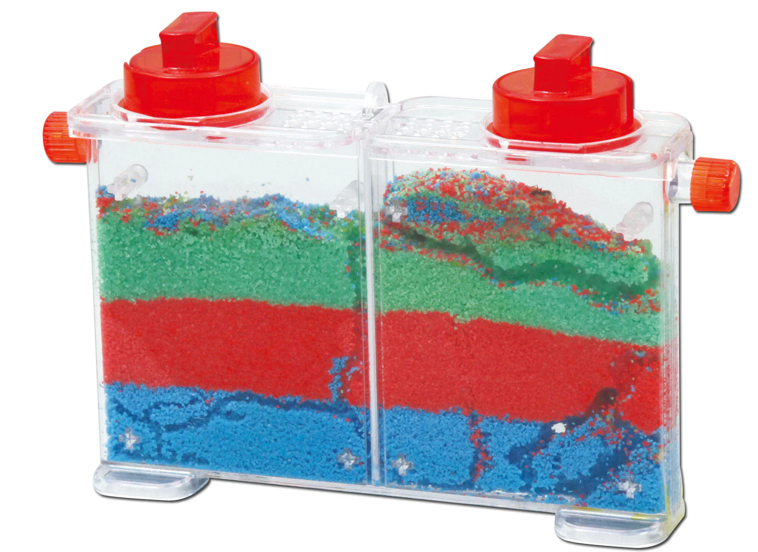 Ant life observation set - Image 2