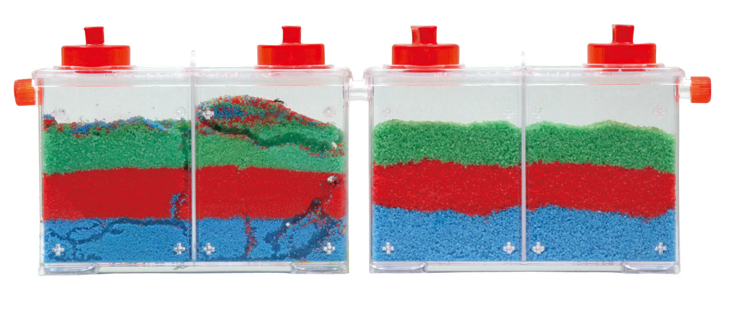 Ant life observation set - Image 4
