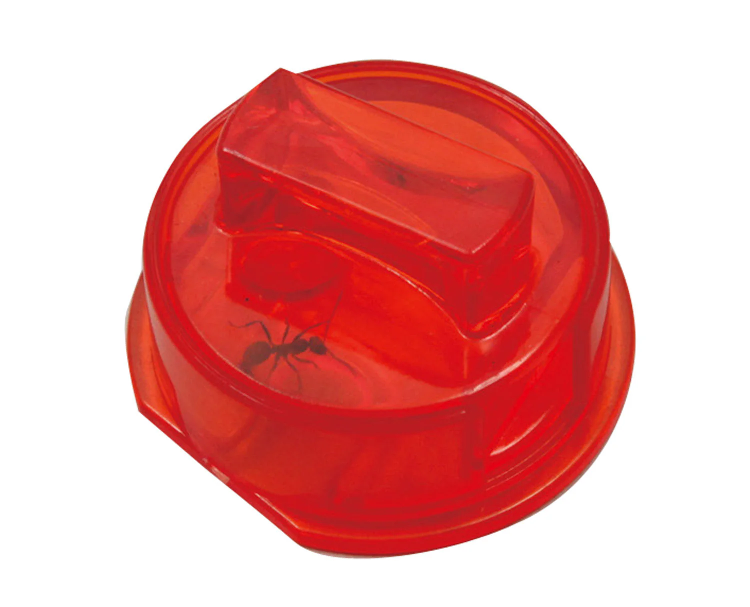 Ant life observation set - Image 6