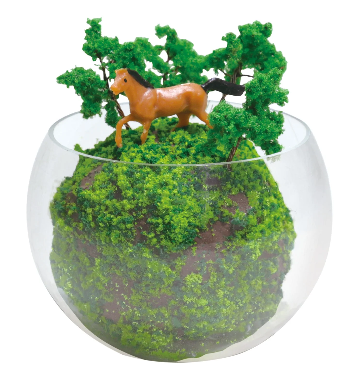 Terrarium Dio - Image 2