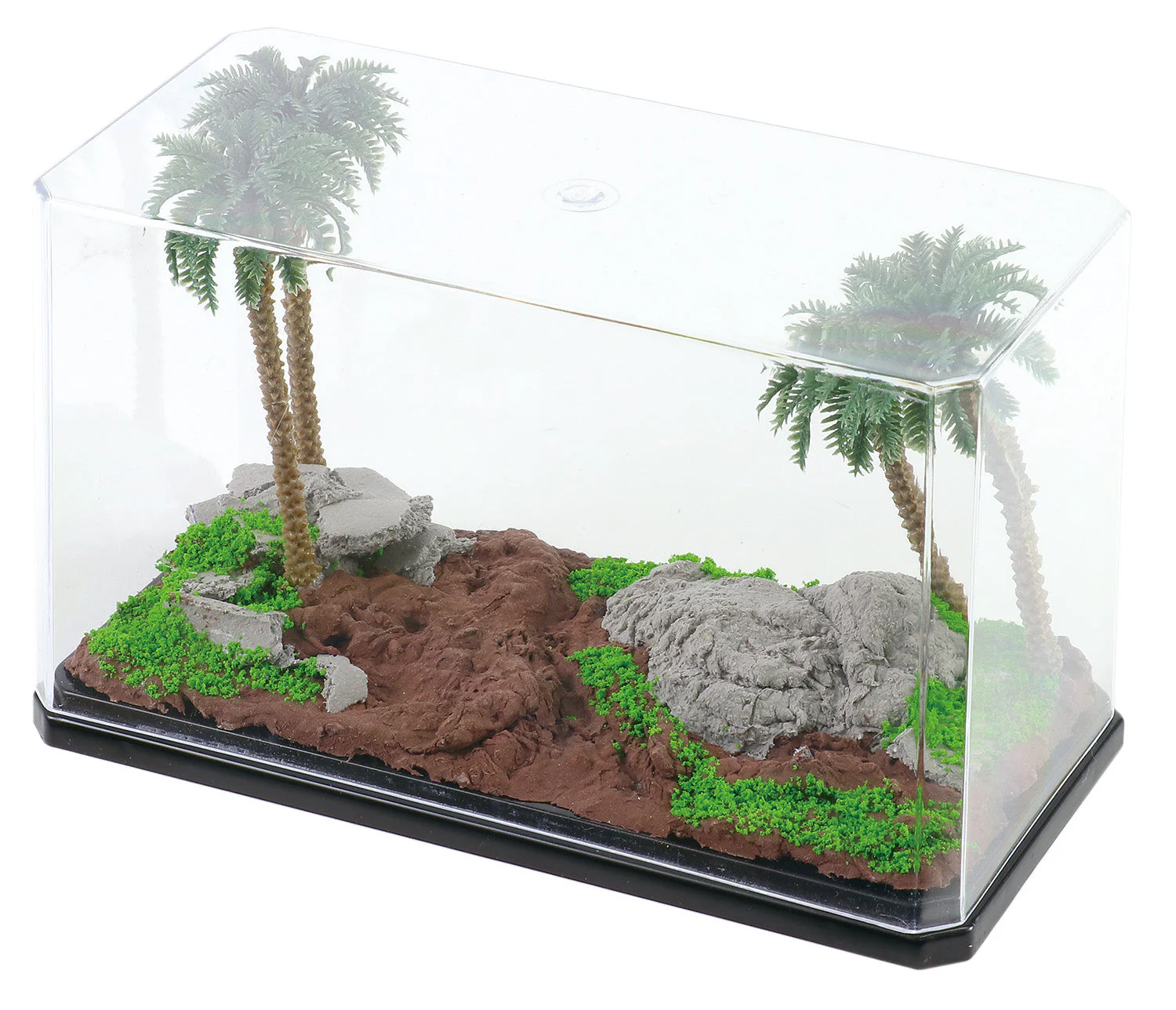 First diorama base kit jungle - Image 4