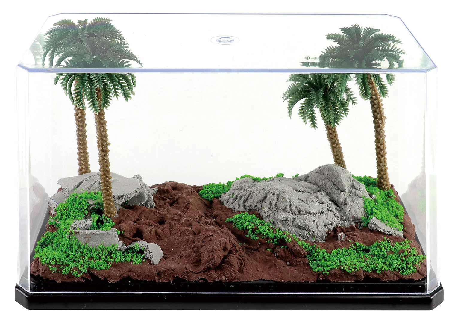 First diorama base kit jungle - Image 5