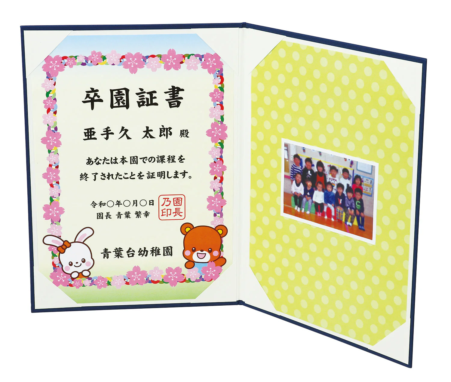 Certificate file Luxury cloth style B4 Red (graduation certificate) - Image 2