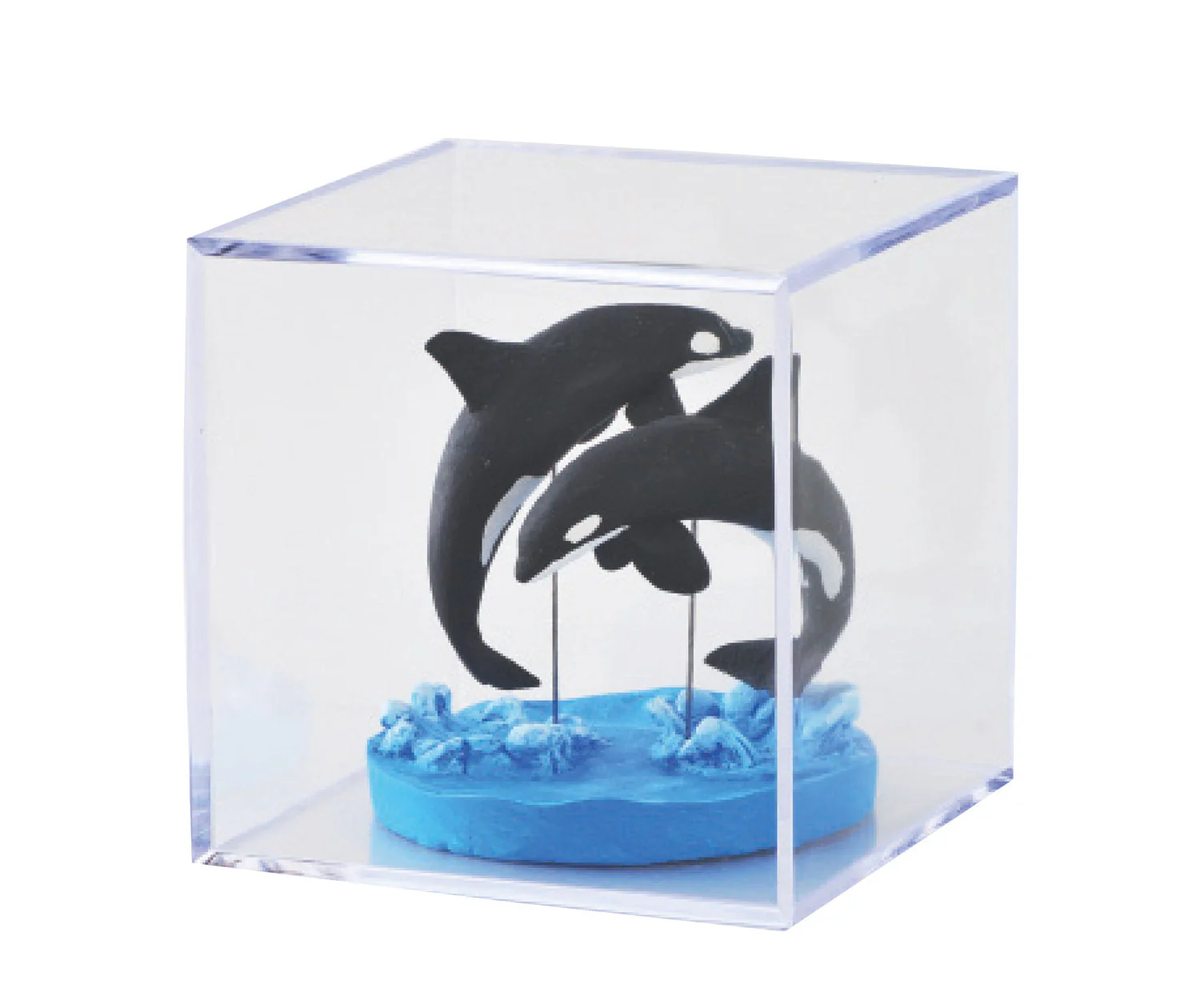 Probox - Image 3