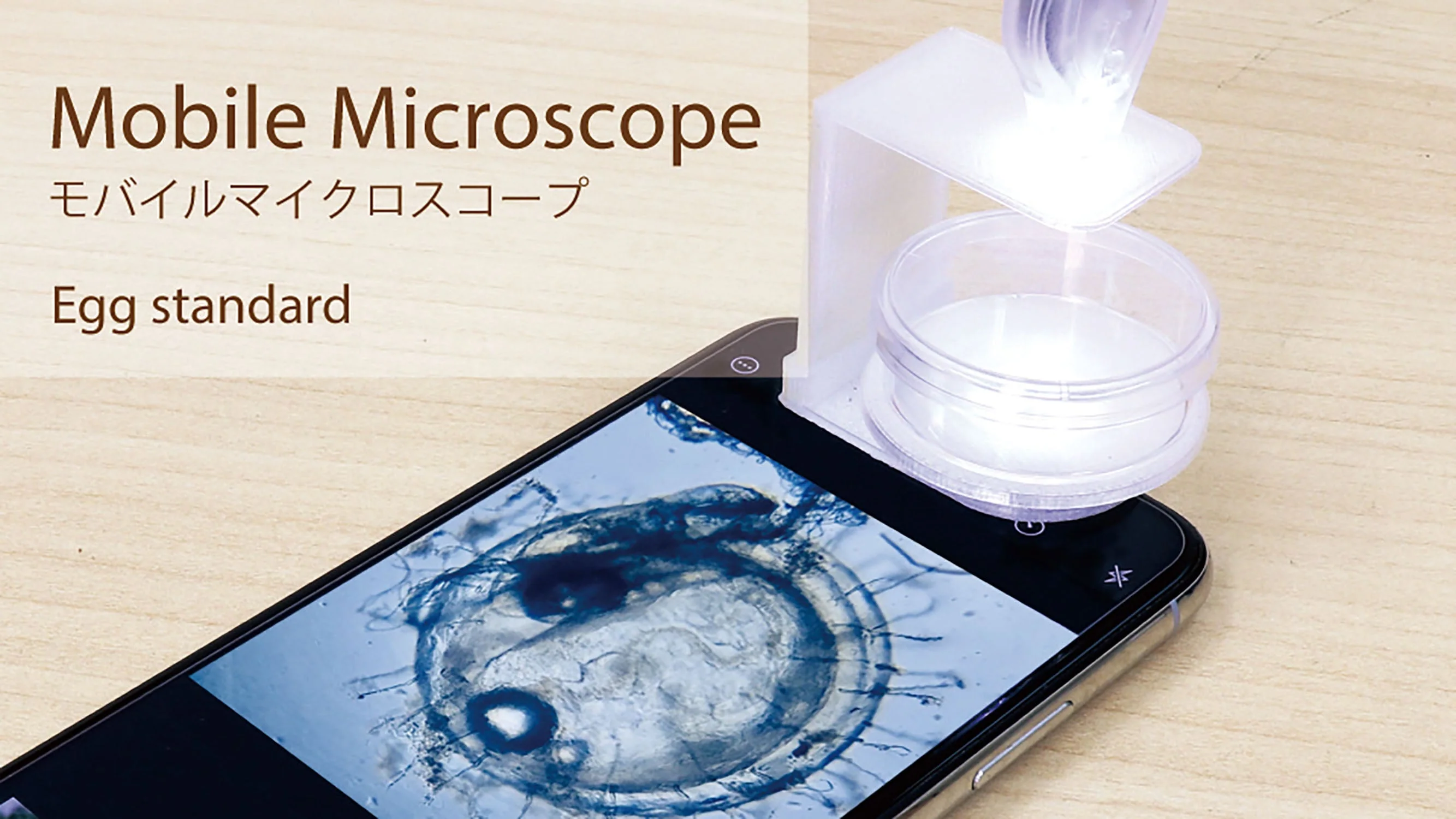 Mobile microscope 80x (Edges standard)