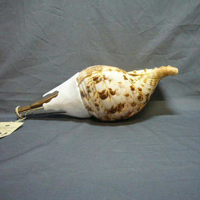 Horagai Conch - Image 3