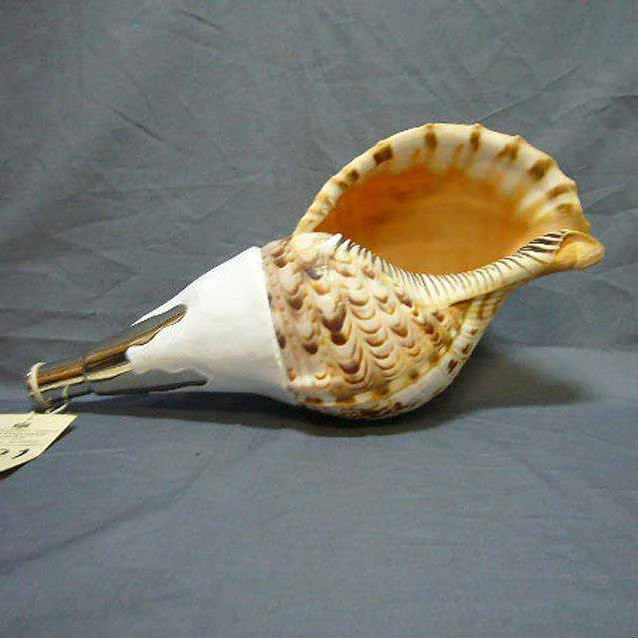 Horagai Conch - Image 4