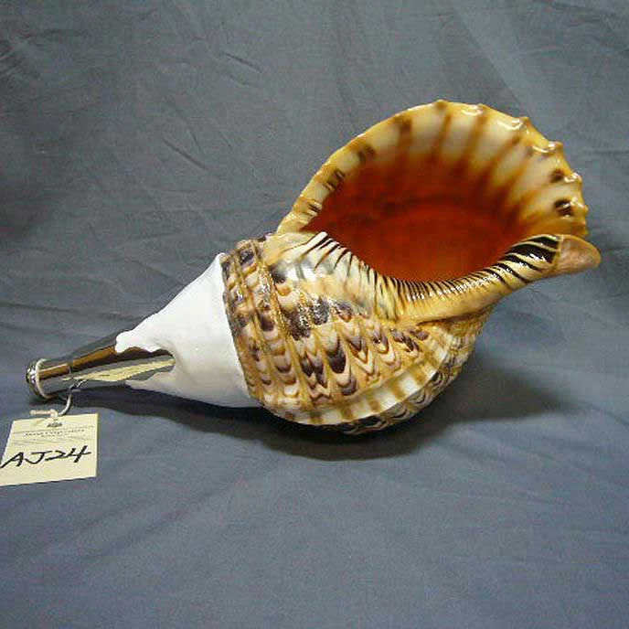 Horagai Conch - Image 7