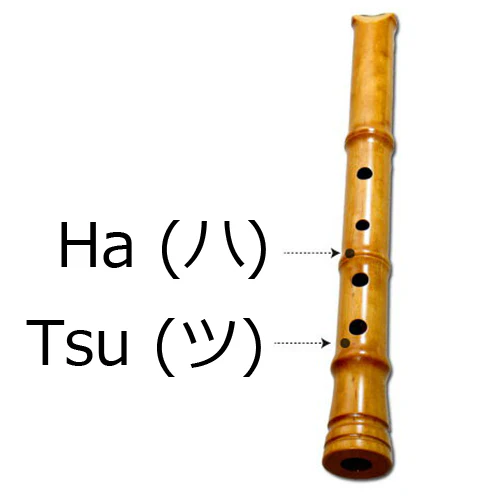Maple Shakuhachi (w/ Node and Natural Root End) (Curved End) (Tozan) (0152H) - Image 5