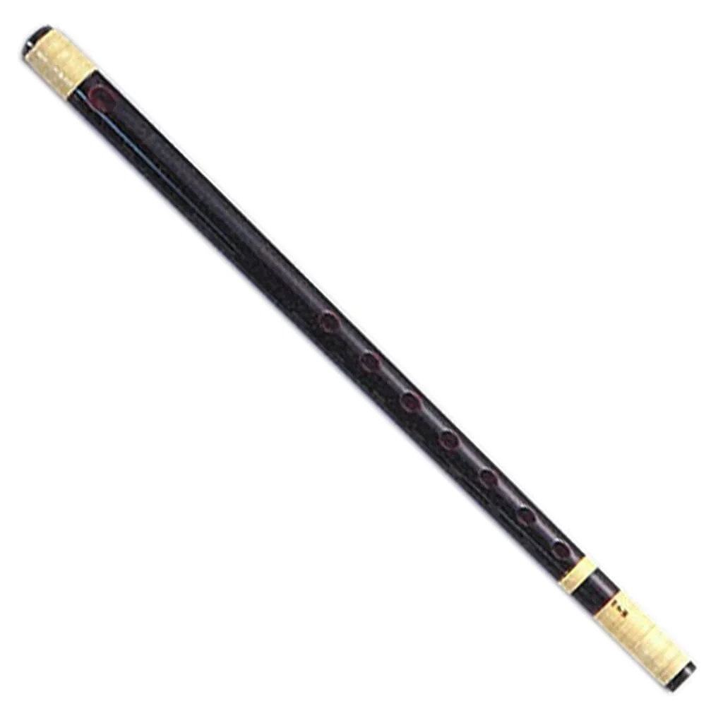 Shizan Shishida Black Painting Tou Ryomaki Type G